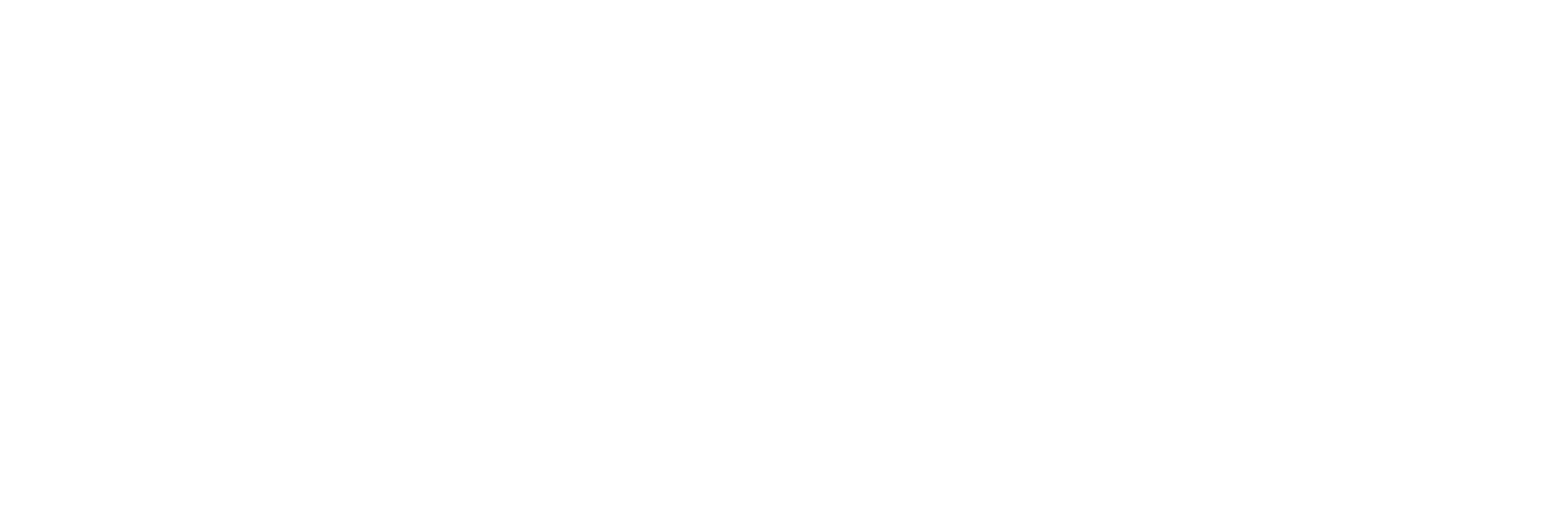 NMKING logo